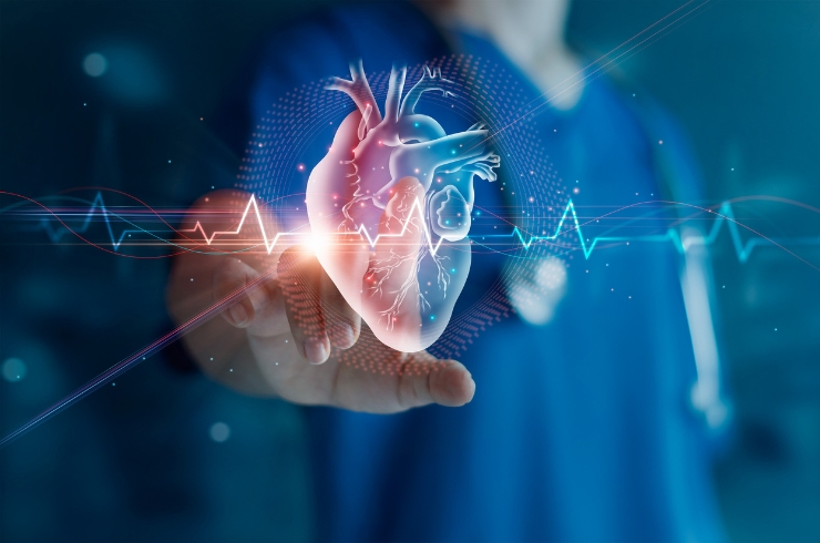 Cardiology